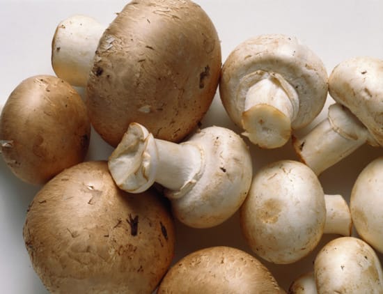 Can Eating Mushrooms Helps You Lose Weight? Photo by: www.fitsugar.com