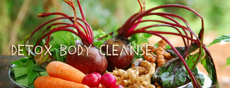 Getting rid of the harmful toxins out of your body is extremely important because it can help you to remain in a happy and healthy condition. Photo Credit: www.pachamama.com