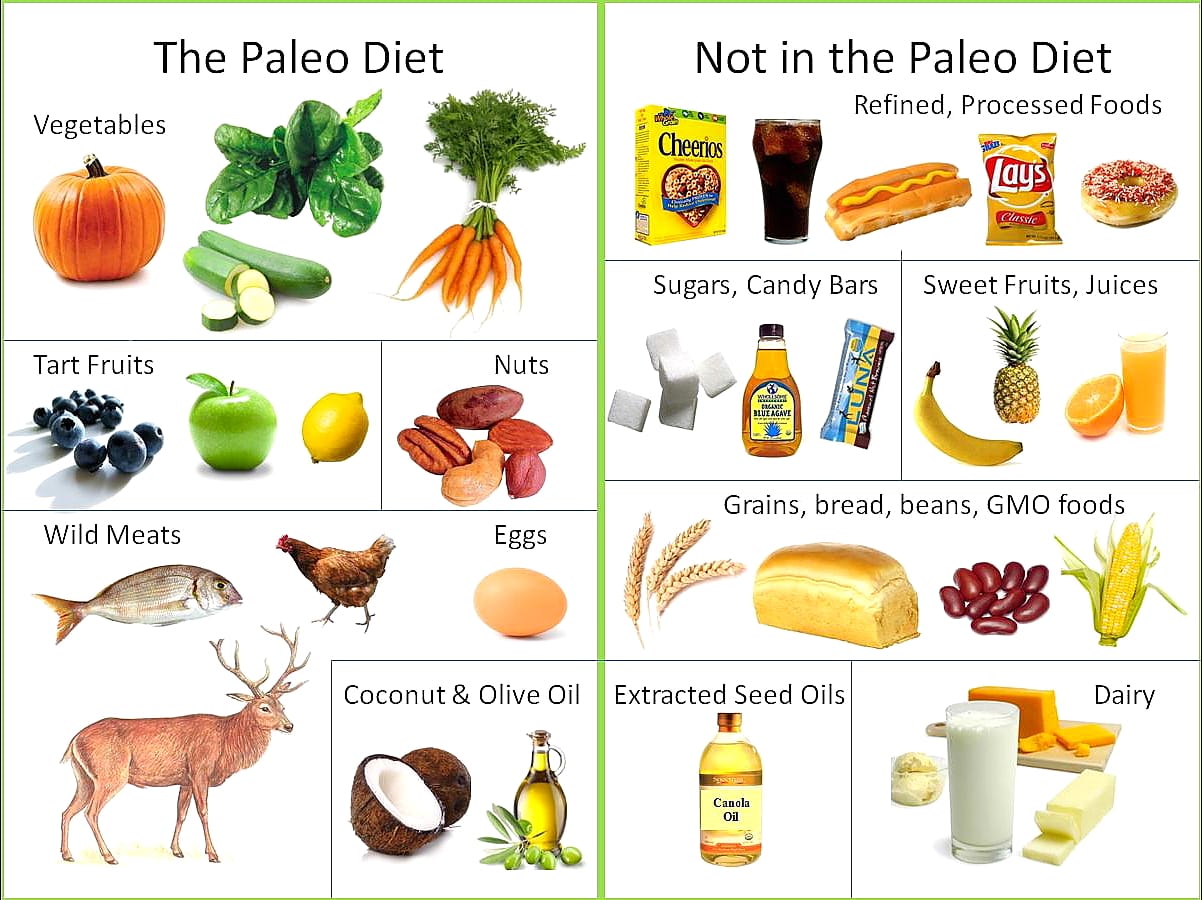 The Paleo diet is a long term option that is different from the many various kinds of fad diets.  Photo Credit: mydietcooking.com