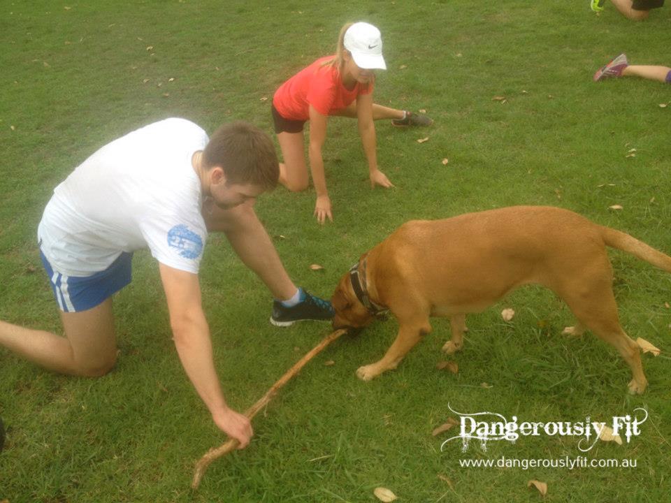 Whichever type of exercise you select, your dog will love it and also you yourself will love the advantages you'll reap.