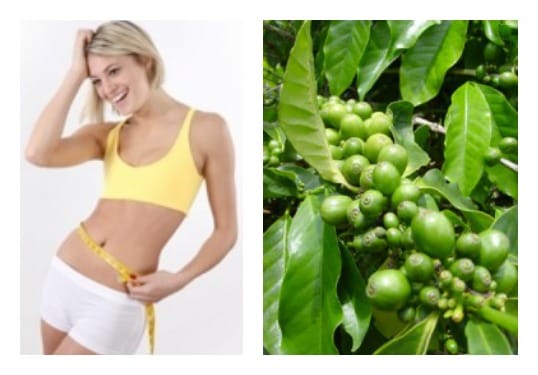 Could Green Coffee Beans Aid Weight Loss?