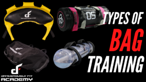 Different Types Of Bag Training
